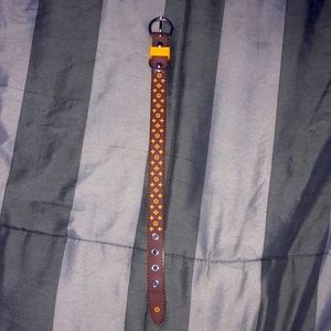 Designer Dog Collar Size Small